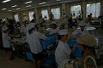 Dcim1073/DSC_5444