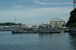 Dcim1074/DSC_5537