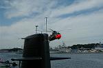 Dcim1074/DSC_5567