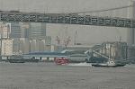 Dcim1101/DSC_4631