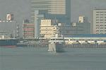 Dcim1102/DSC_6805
