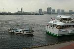 Dcim1102/DSC_6893