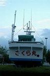 Dcim1105/DSC_4815