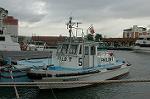 Dcim1105/DSC_4894