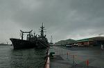 Dcim1105/DSC_4905
