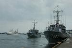 Dcim1107/DSC_5102