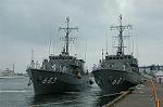 Dcim1107/DSC_5105