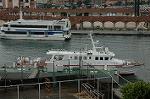 Dcim1109/DSC_5409