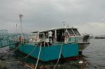 Dcim1109/DSC_5459