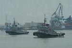 Dcim1111/DSC_7319