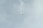 Dcim1112/DSC_7446