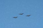 Dcim1121/DSC_8162