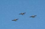 Dcim1121/DSC_8164