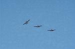 Dcim1121/DSC_8175
