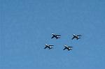 Dcim1121/DSC_8181