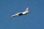 Dcim1121/DSC_8202