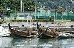 Dcim1129/DSC_8584