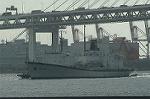 Dcim1133/DSC_8675