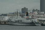 Dcim1133/DSC_8699