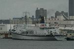 Dcim1133/DSC_8700