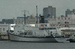 Dcim1133/DSC_8702