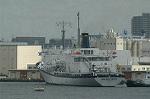 Dcim1133/DSC_8704