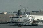 Dcim1133/DSC_8708