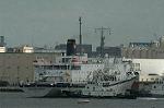 Dcim1133/DSC_8709