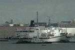 Dcim1133/DSC_8710
