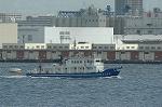 Dcim1133/DSC_8726