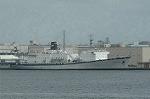 Dcim1133/Dsc_8729