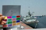 Dcim1137/DSC_7311