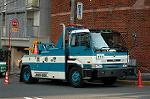 Dcim1139/DSC_7384