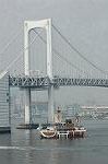 Dcim1142/DSC_7579