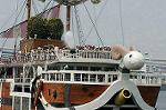 Dcim1143/DSC_7700