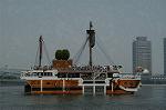 Dcim1144/DSC_9049