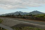 Dcim1145/DSC_7729