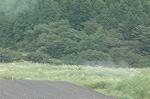 Dcim1146/DSC_7888