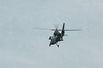 Dcim1146/DSC_7960