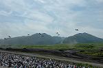 Dcim1147/DSC_8079