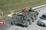 Dcim1153/DSC_8342