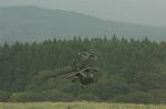 Dcim1154/DSC_8506