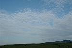 Dcim1155/DSC_9704