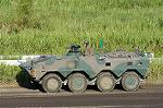 Dcim1155/DSC_9771