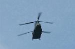 Dcim1156/DSC_9955