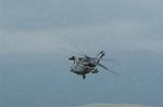 Dcim1156/DSC_9982