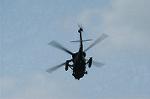 Dcim1156/DSC_9990