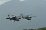 Dcim1157/DSC_0142