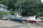 Dcim1172/DSC_9037
