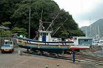 Dcim1172/DSC_9039